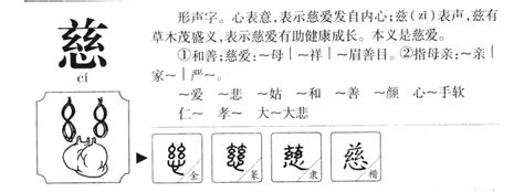 慈 名字|慈字取名的寓意